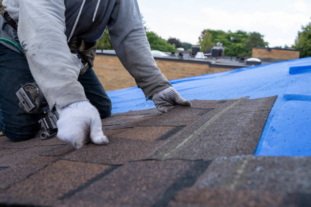 Gutter Installation and Roofing in Jefferson City, TN