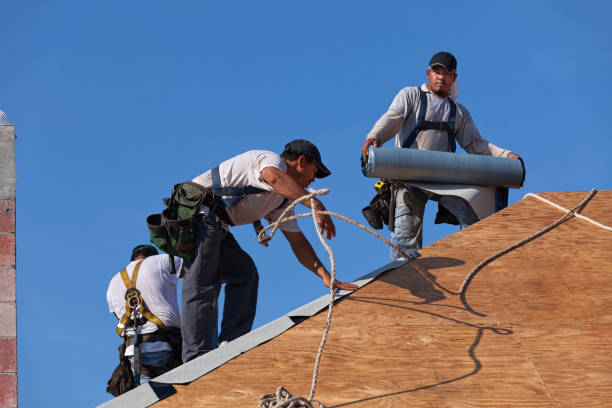 Roof Waterproofing Services in Jefferson City, TN