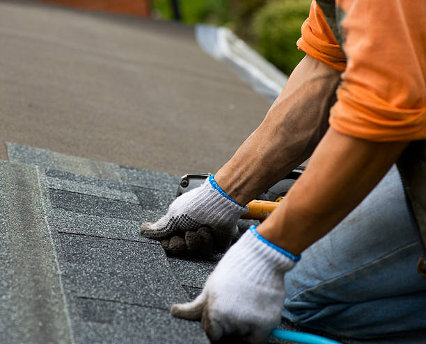 Roof Gutter Cleaning in Jefferson City, TN